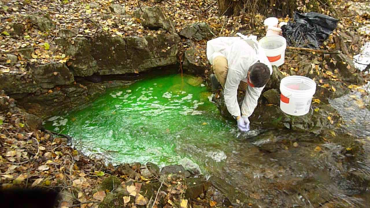 Immagine per Tutela del lago di Doberdò, un team di esperti nelle profondità subacquee